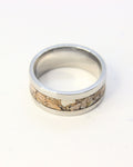 Stainless steel ring with Plesiosaurus fossil fragments inlay, handmade in Cape Town — RHYN