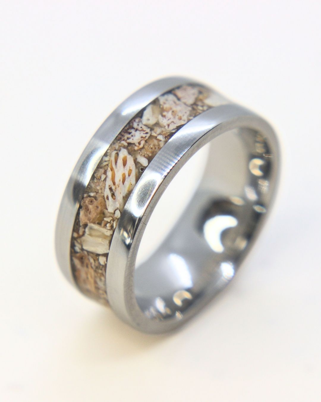 Plesiosaurus x Stainless Steel Ring