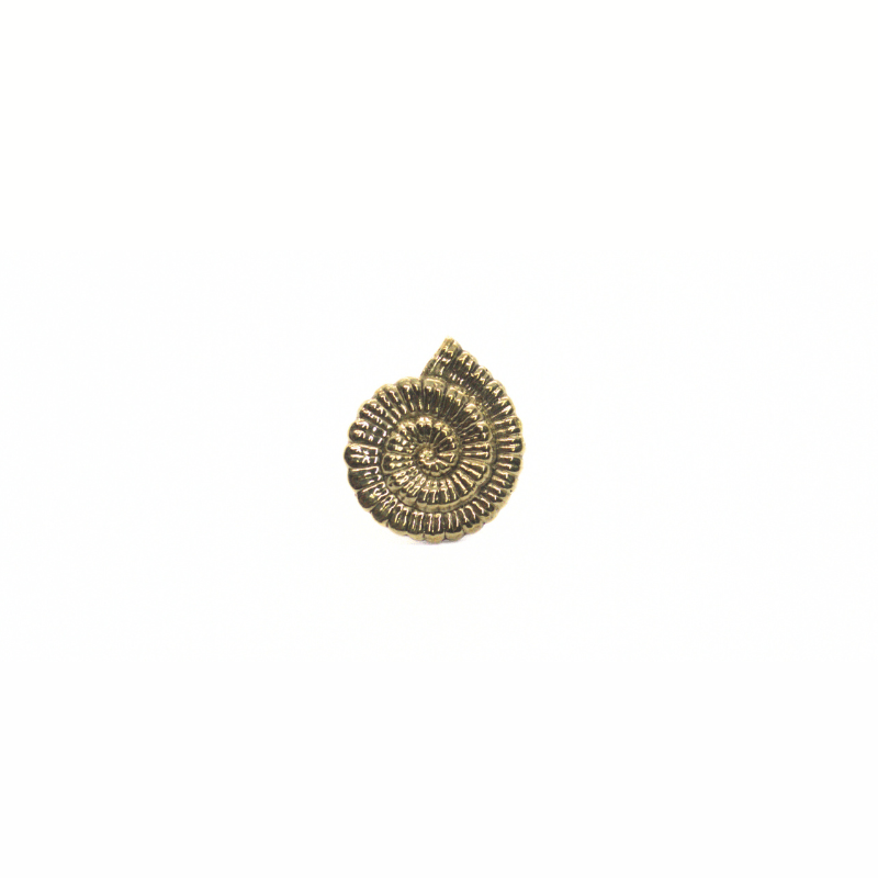 Ammonite Lapel pin, Brass