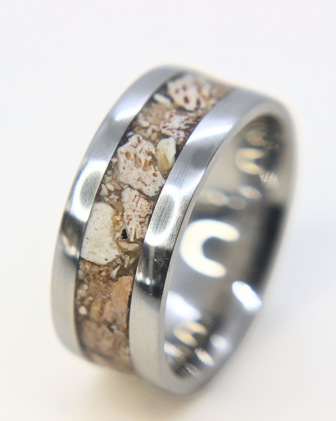 Plesiosaurus x Stainless Steel Ring