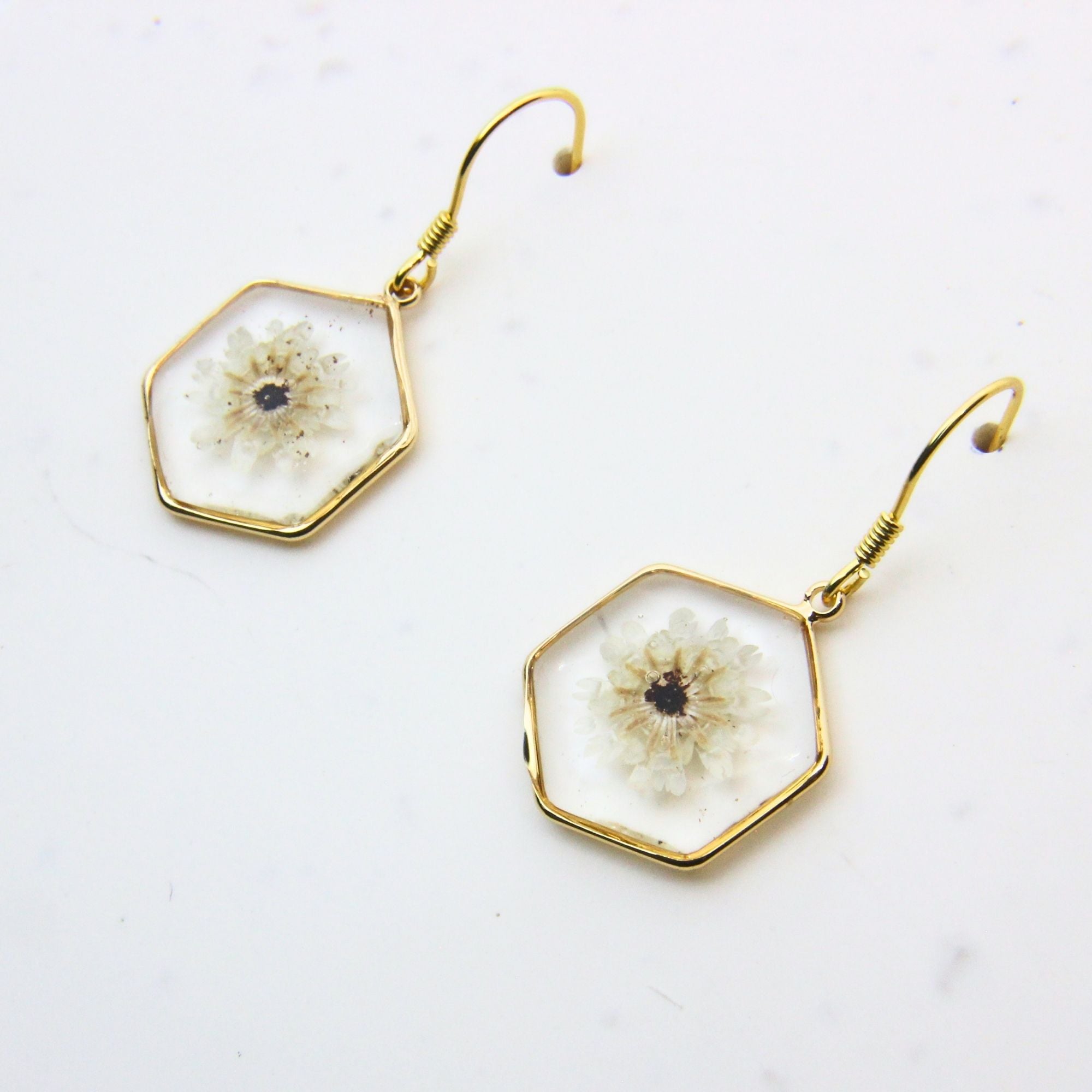 Resin earrings with preserved South African fynbos, Cape Town jewellery — RHYN