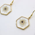 Resin earrings with preserved South African fynbos, Cape Town jewellery — RHYN