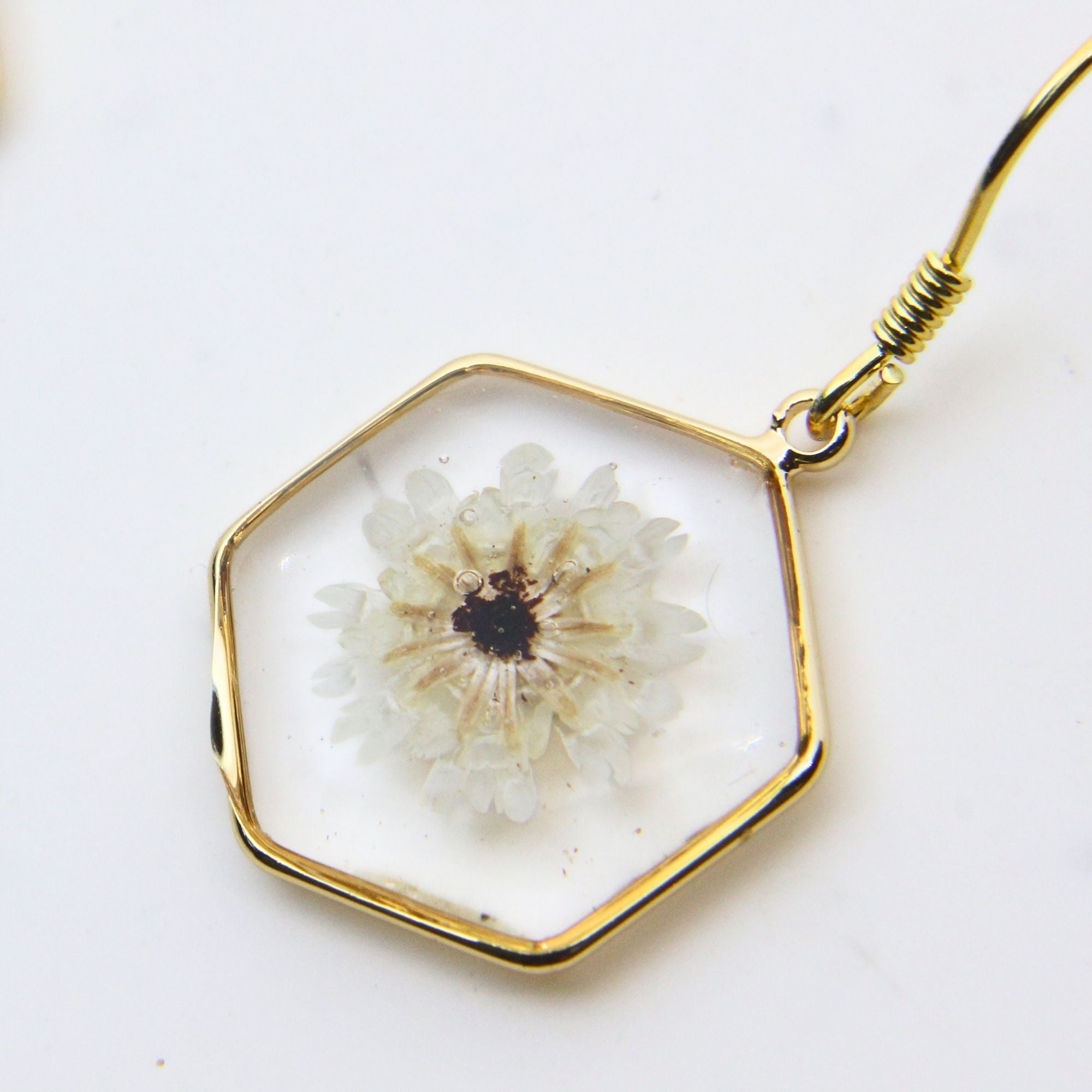 Resin earrings with preserved South African fynbos, Cape Town jewellery — RHYN