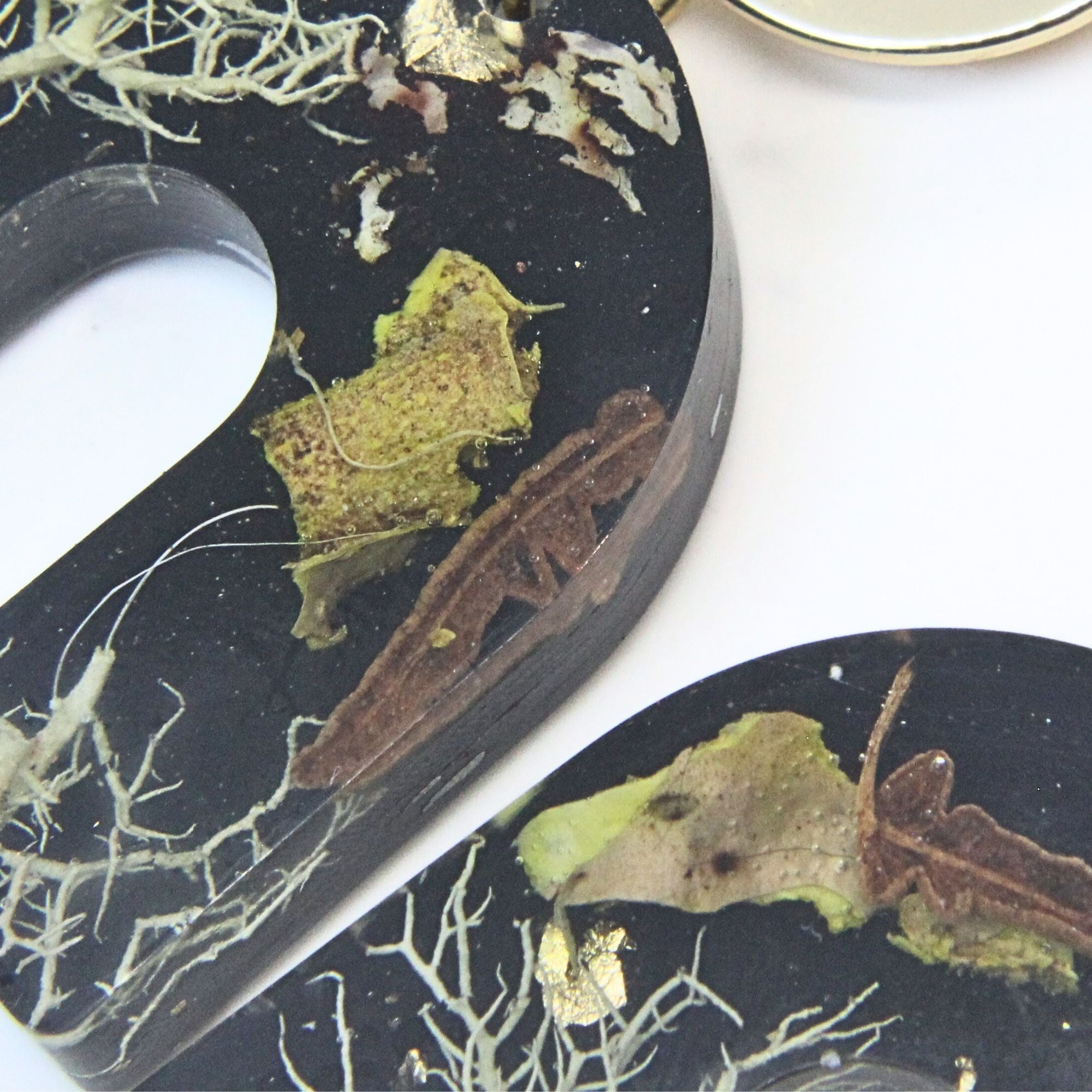 Sterling silver, brass disc earrings with preserved South African moss and lichen in resin, handmade in Cape Town — RHYN