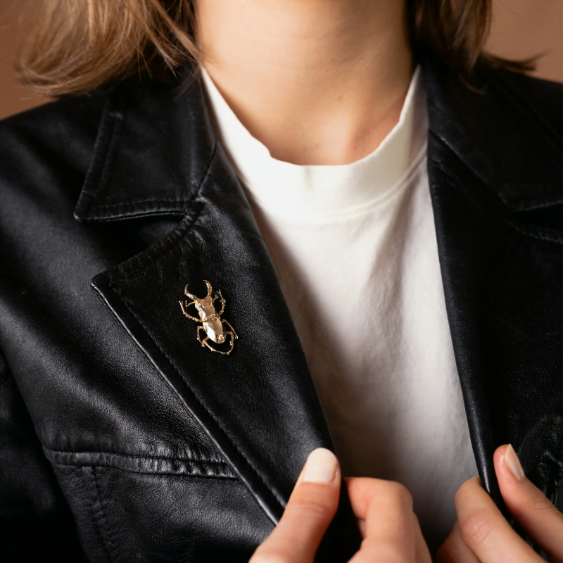 Scarab Lapel pin, Brass