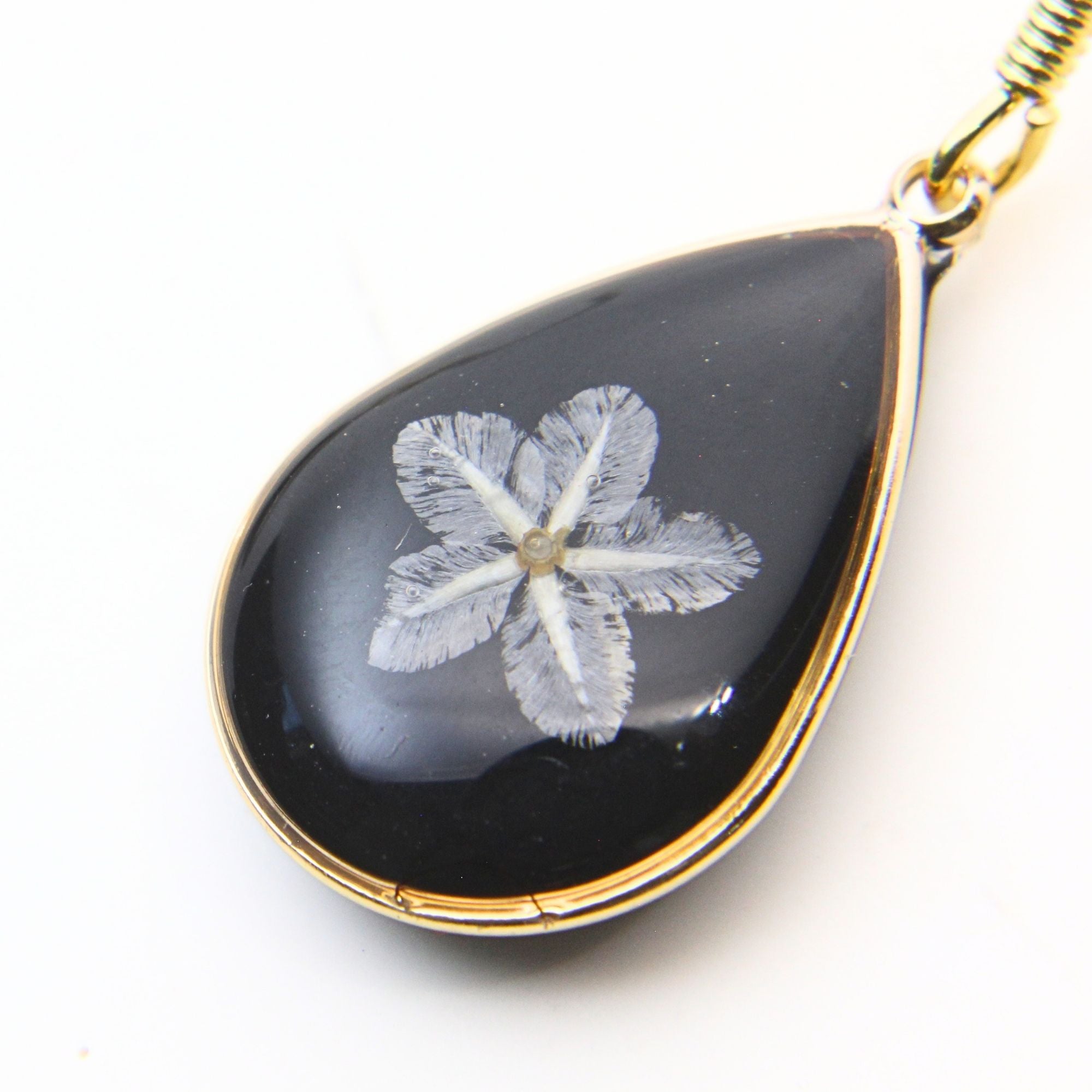 Resin earrings with preserved South African wild daisies, Cape Town jewellery — RHYN