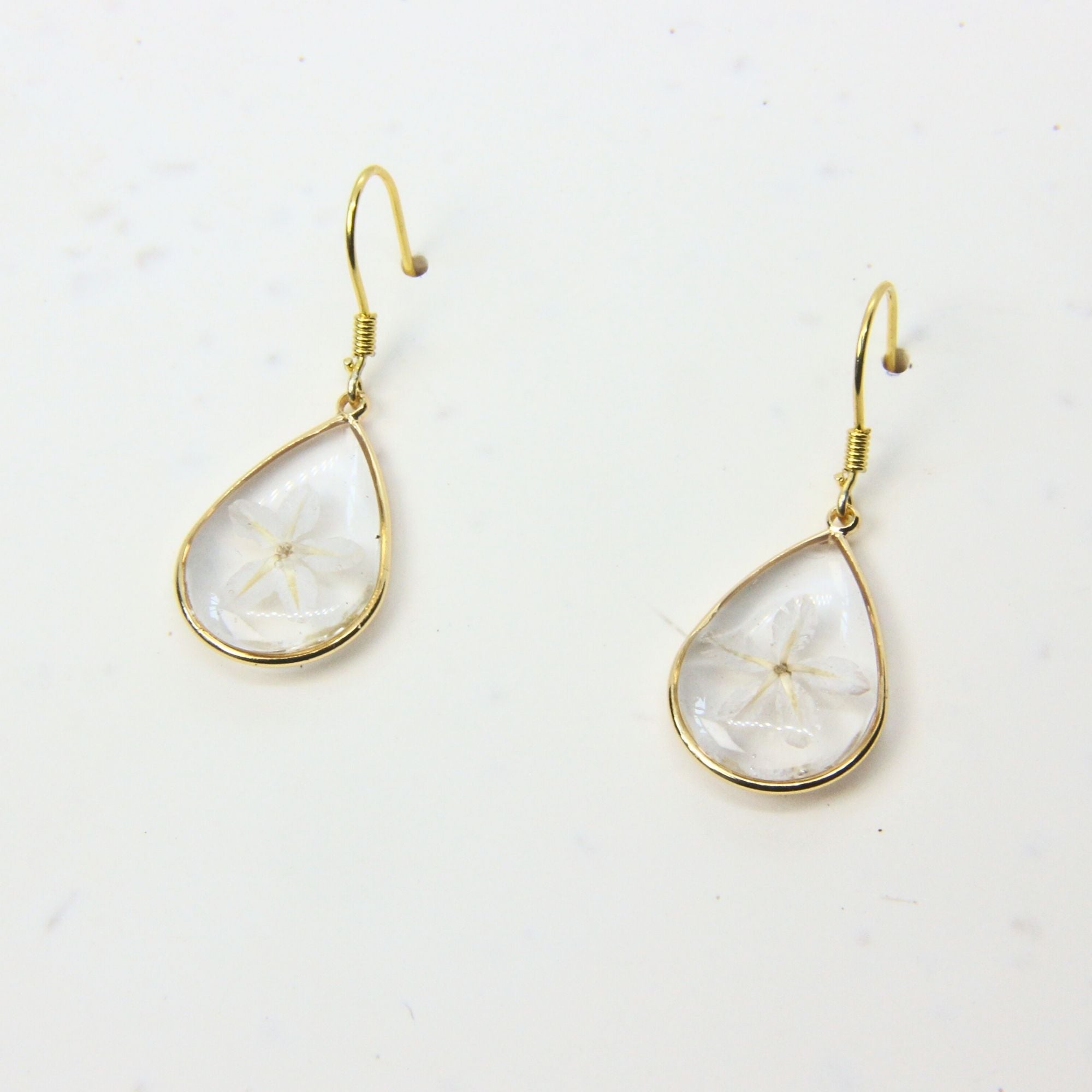 Resin earrings with preserved South African wild daisies, Cape Town jewellery — RHYN