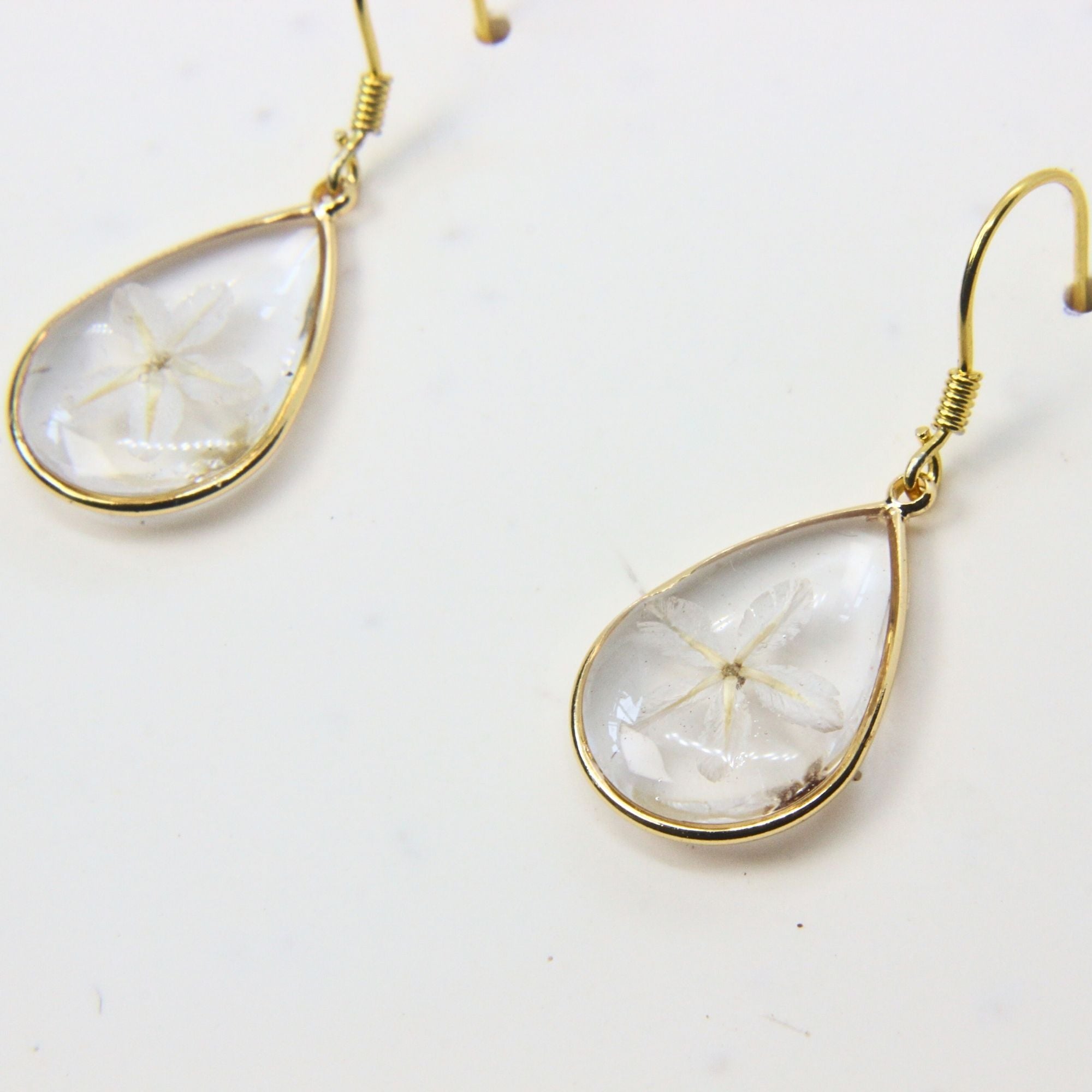 Resin earrings with preserved South African wild daisies, Cape Town jewellery — RHYN