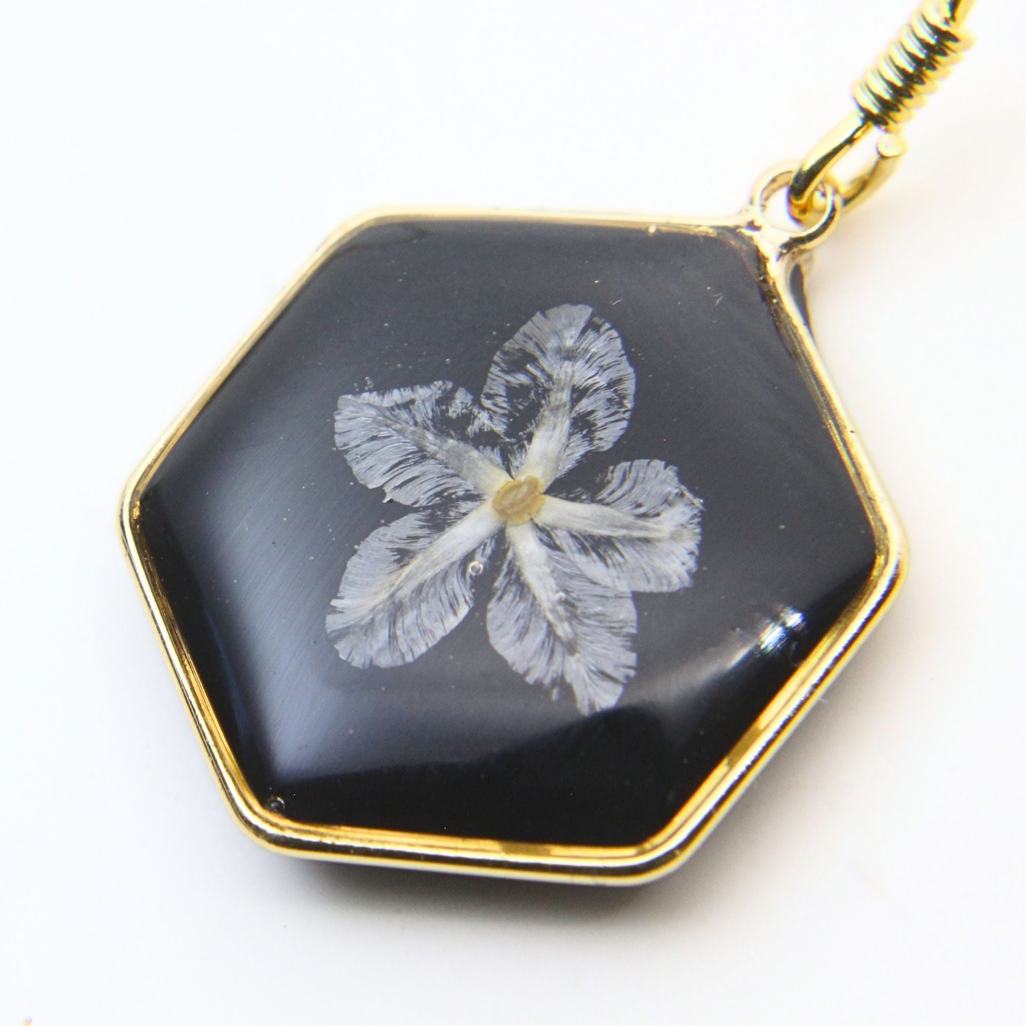 Resin earrings with preserved South African fynbos, Cape Town jewellery — RHYN