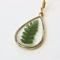 Resin earrings with preserved South African fern, Cape Town jewellery — RHYN