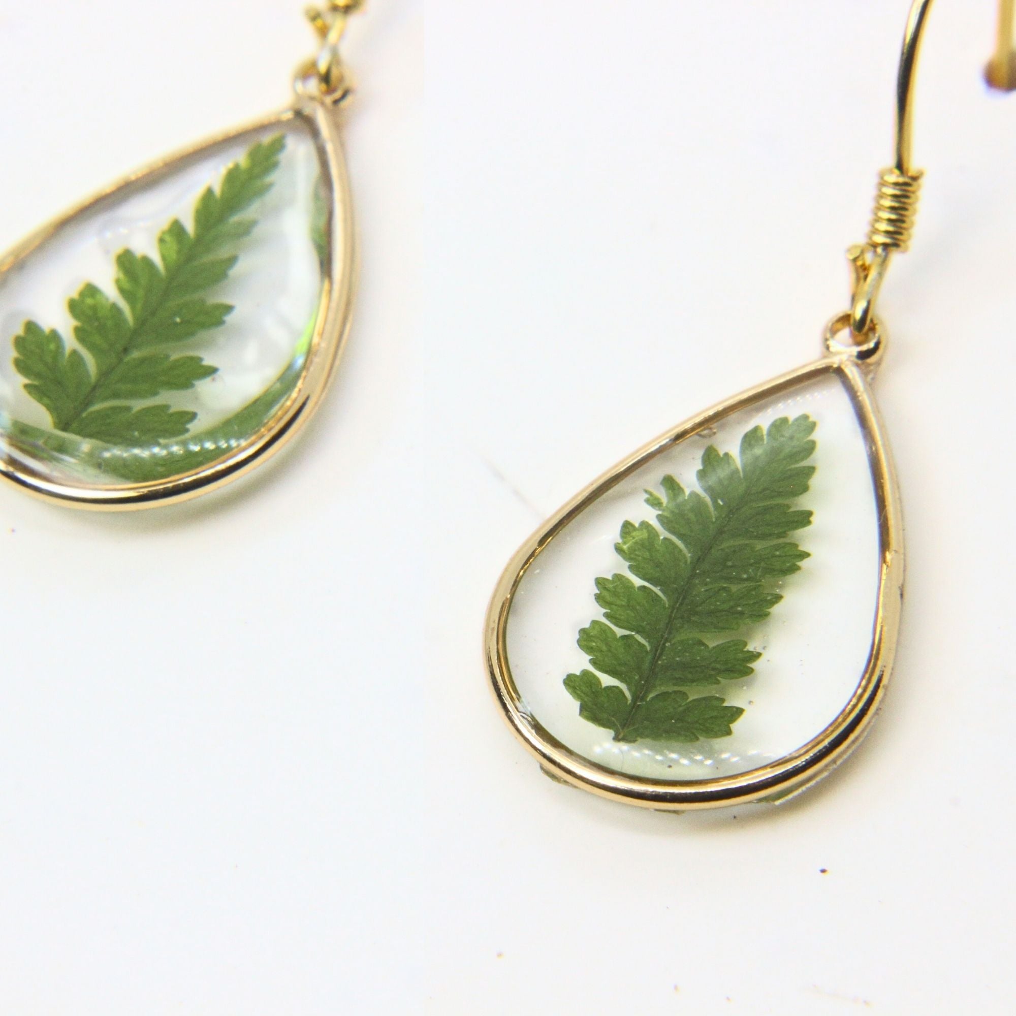 Resin earrings with preserved South African fern, Cape Town jewellery — RHYN
