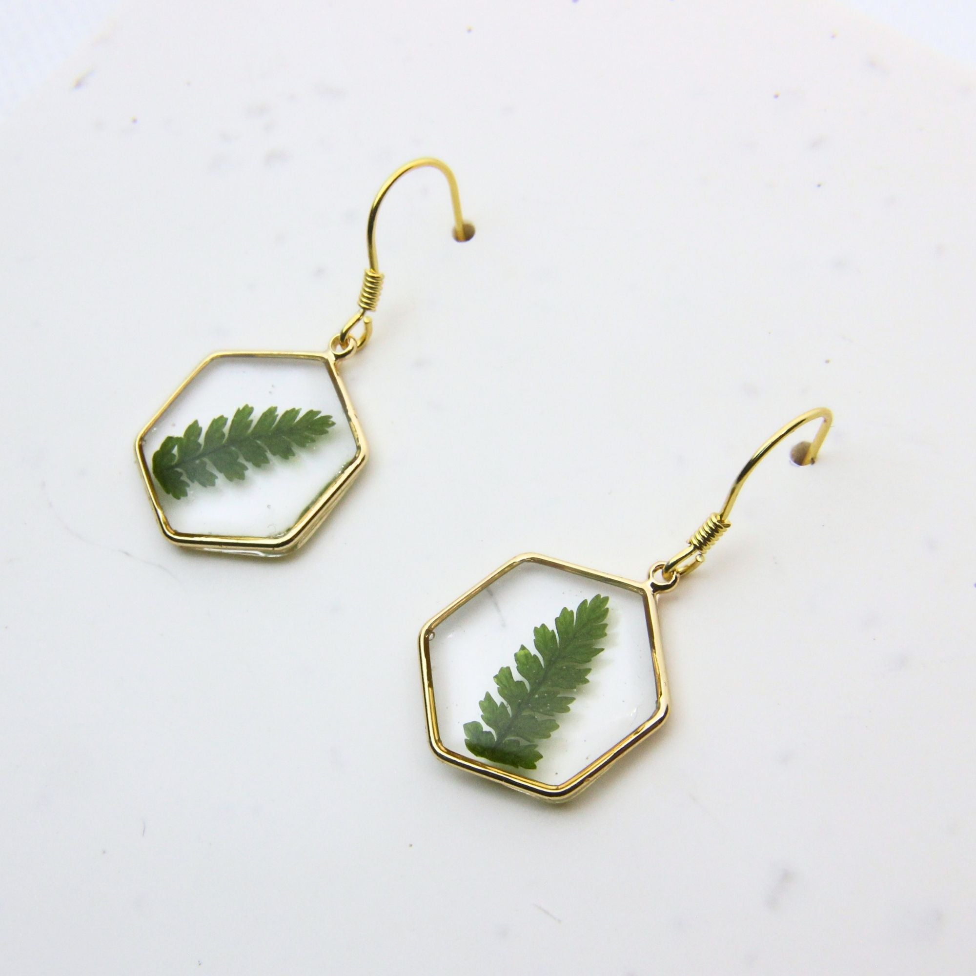 Resin earrings with preserved South African fern, Cape Town jewellery — RHYN