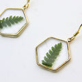 Resin earrings with preserved South African fern, Cape Town jewellery — RHYN