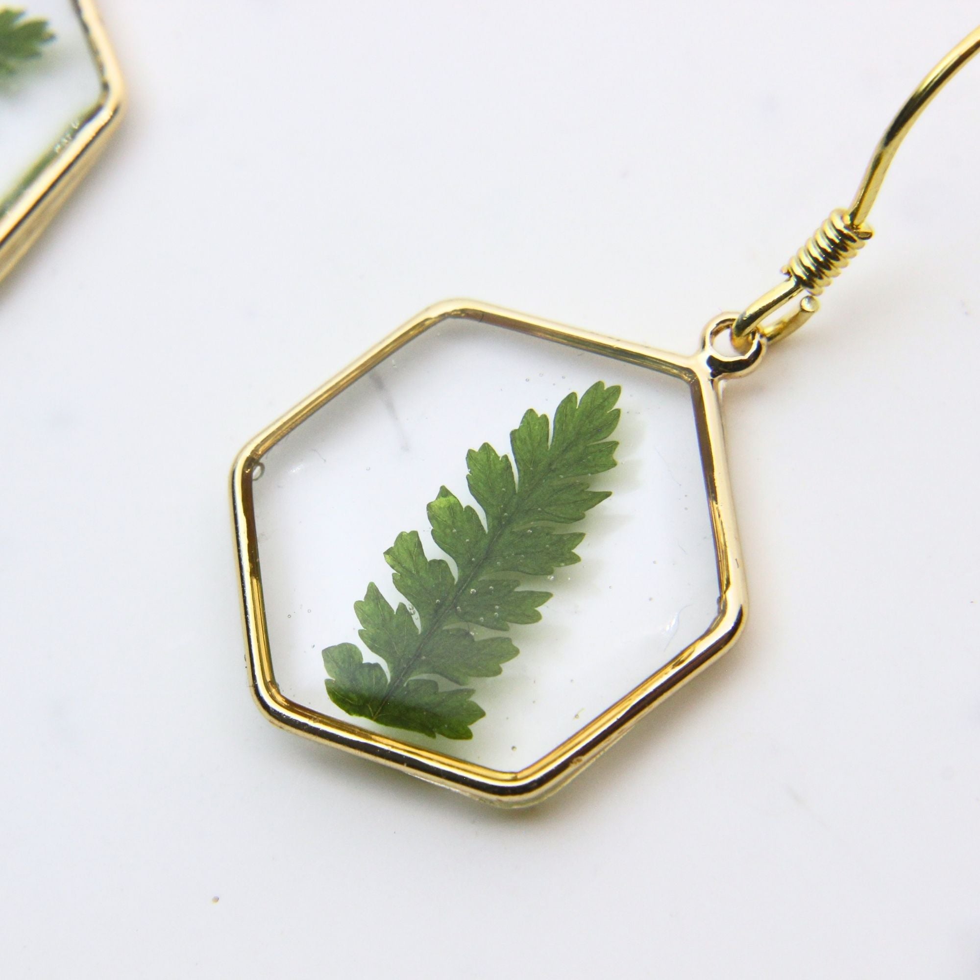 Resin earrings with preserved South African fern, Cape Town jewellery — RHYN